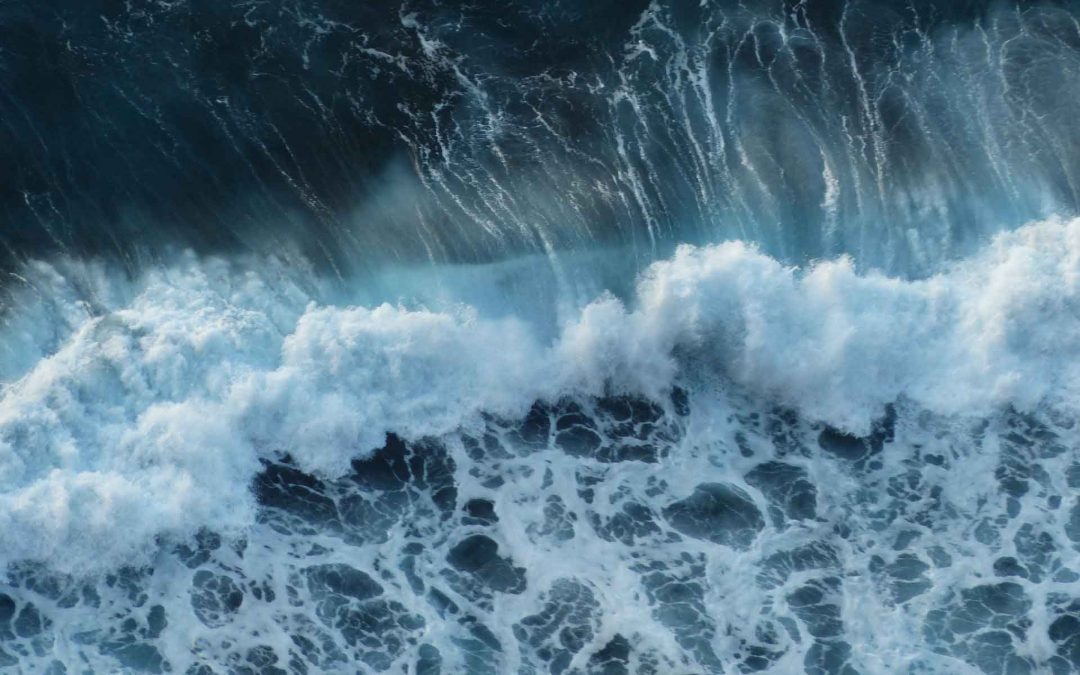 COA Procedures for Importation of Flour (SIRIM)