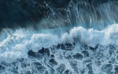 COA Procedures for Importation of Flour (SIRIM)